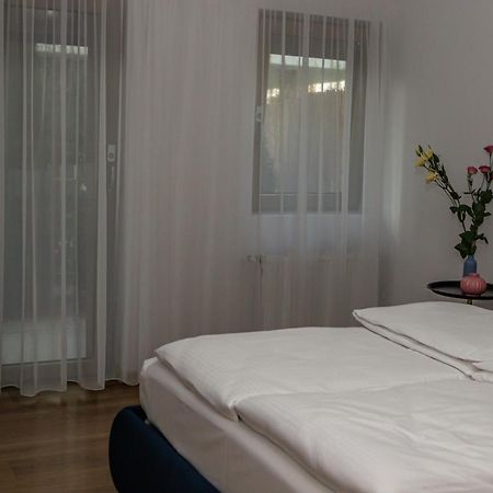 Sasu Apartment Timişoara Exterior foto