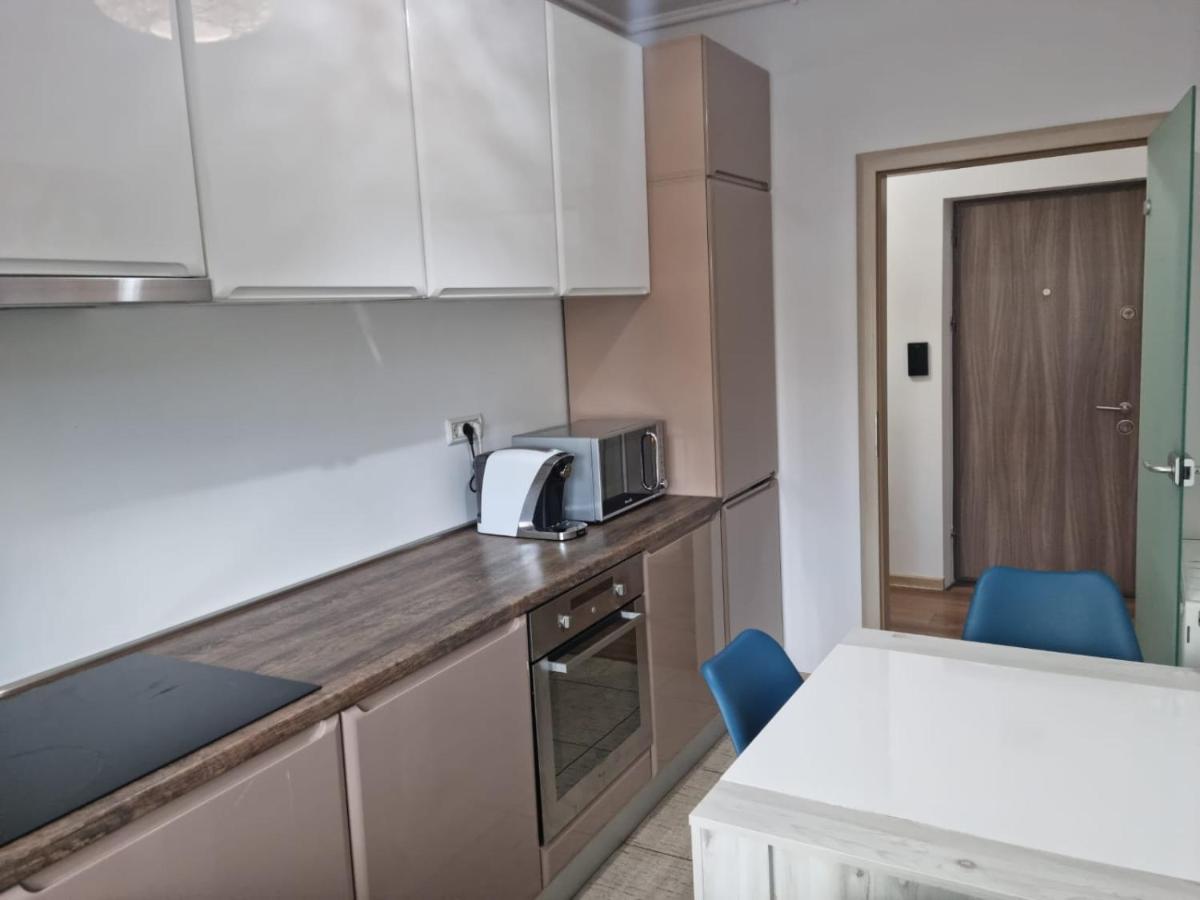 Sasu Apartment Timişoara Exterior foto