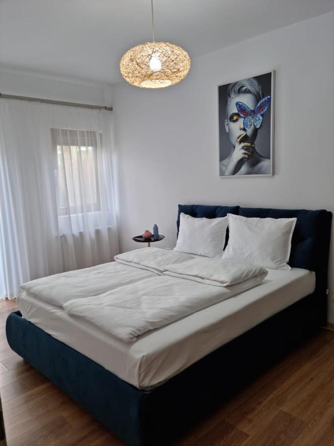 Sasu Apartment Timişoara Exterior foto