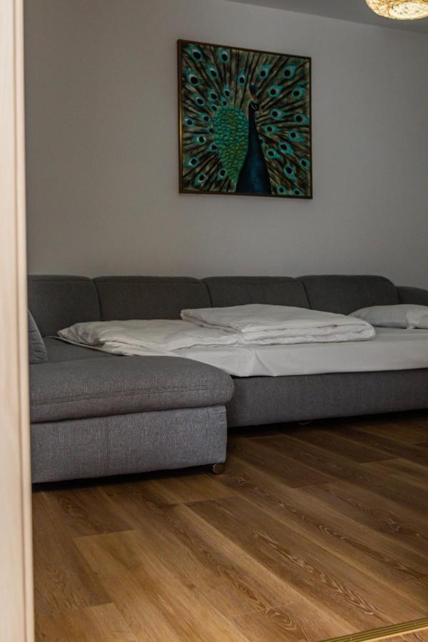 Sasu Apartment Timişoara Exterior foto